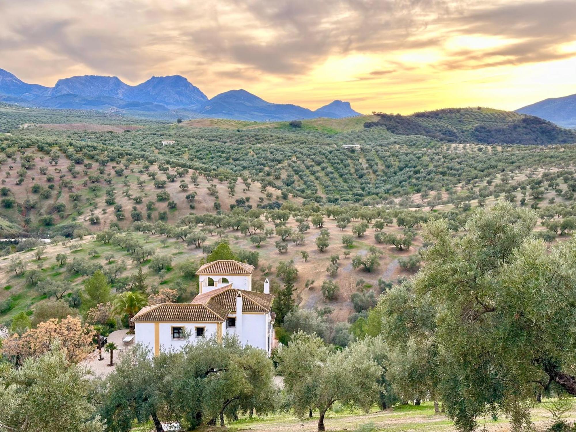Hotel Hacienda el Tarajal Priego de Córdoba Exterior foto